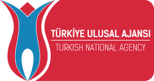 Türkiye Ulusal Ajansı